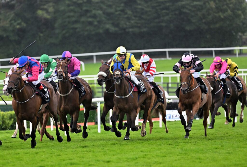 Horse Racing Galway Races Ballybrit Race Track Co Galway Web Size - City HideAway Galway